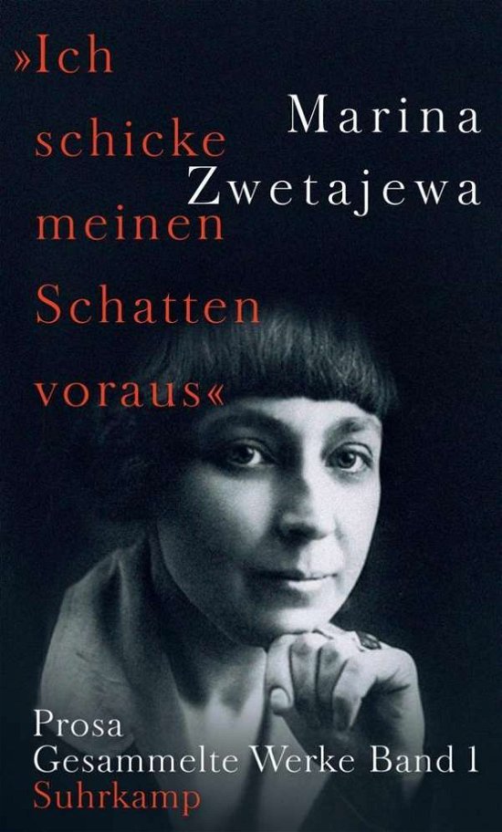 Cover for Zwetajewa · &quot;Ich schicke meinen Schatten (Buch)