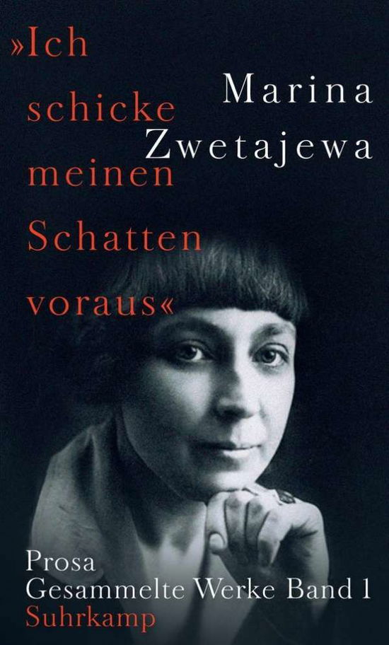 Cover for Zwetajewa · &quot;Ich schicke meinen Schatten (Book)