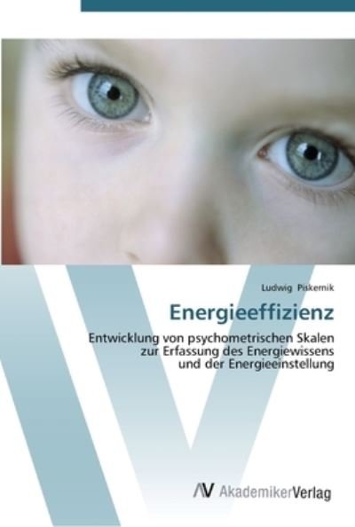 Cover for Piskernik · Energieeffizienz (Bog) (2012)