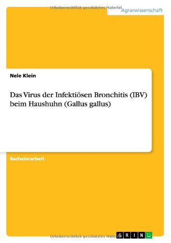 Cover for Nele Klein · Das Virus der Infektioesen Bronchitis (IBV) beim Haushuhn (Gallus gallus) (Paperback Bog) [German edition] (2013)