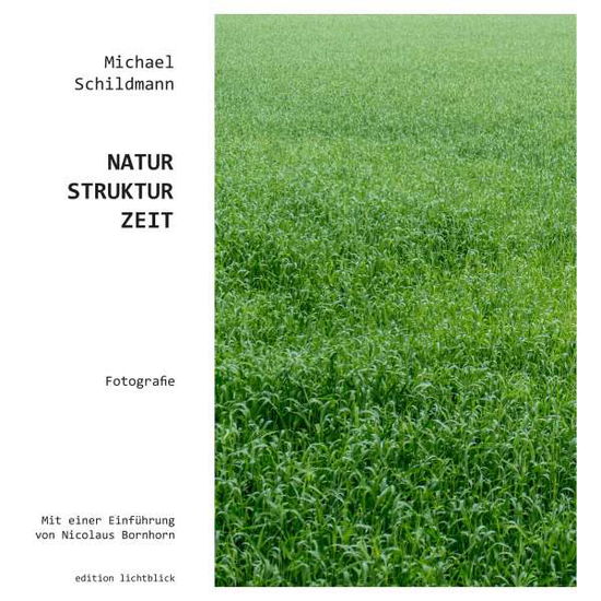 Cover for Schildmann · Natur-Struktur-Zeit (Book)