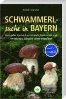 Cover for Norbert Griesbacher · Schwammerlsuche in Bayern (Book) (2023)