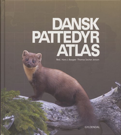 Dansk pattedyratlas - Hans Baagøe; Thomas Secher Jensen - Böcker - Gyldendal - 9788702055061 - 3 maj 2007