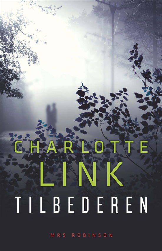 Cover for Charlotte Link · Tilbederen (Bound Book) [1st edition] [Indbundet] (2012)