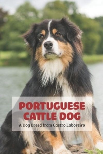 Cover for Gosnell Mollie · Portuguese Cattle Dog: A Dog Breed from Castro Laboreiro (Taschenbuch) (2022)