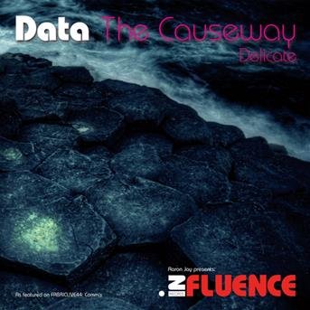 Cover for Data · Causeway / Delicate (12&quot;) (2009)