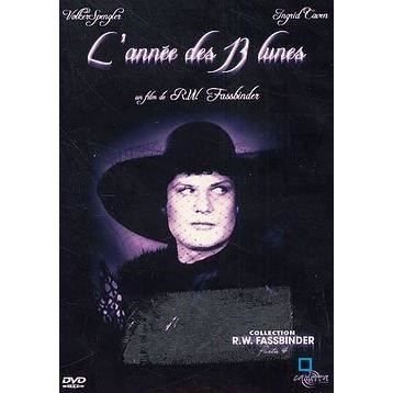 Cover for L Annee Des 13 Lunes (DVD)