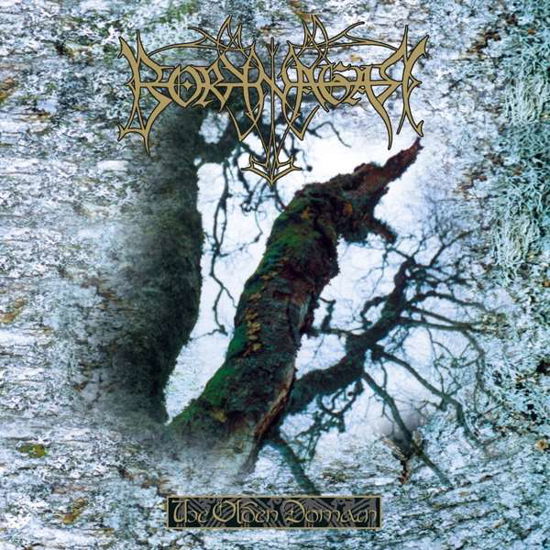 Cover for Borknagar · Olden Domain (LP) [Reissue, Limited edition] (2018)