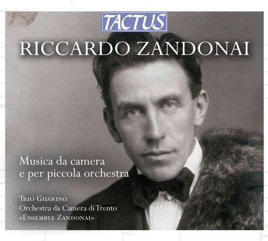 Cover for Zandonai / Ensemble Zandonai / Trio Guarino · Chamber Music &amp; Works for Small Orchestra (CD) [Digipak] (2013)