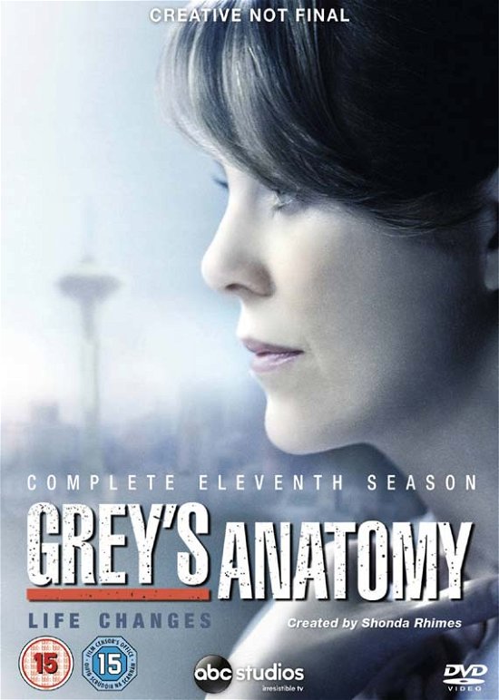 Cover for Grey's Anatomy - Season 11 · Greys Anatomy Season 11 (DVD) (2015)