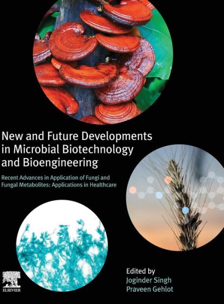 Cover for New and Future Developments in Microbial Biotechnology and Bioengineering: Recent Advances in Application of Fungi and Fungal Metabolites: Applications in Healthcare (Hardcover Book) (2020)
