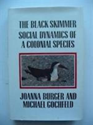 The Black Skimmer: Social Dynamics of a Colonial Species - Joanna Burger - Books - Columbia University Press - 9780231071062 - May 21, 1990