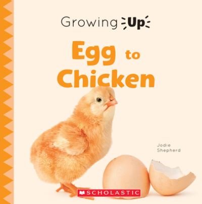 Cover for Scholastic · From Egg to Chicken (Explore the Life Cycle!) (Buch) (2021)