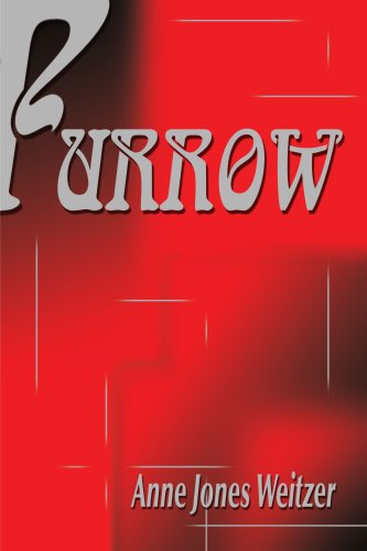 Cover for Anne Weitzer · Furrow (Paperback Book) (2000)