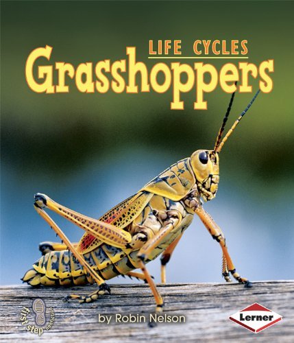 Cover for Robin Nelson · Grasshoppers (First Step Nonfiction Animal Life Cycles) (Paperback Book) (2009)
