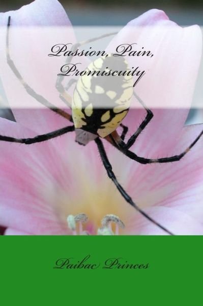 Cover for Paibac Princes · Passion, Pain, Promiscuity (Pocketbok) [Lrg edition] (2013)