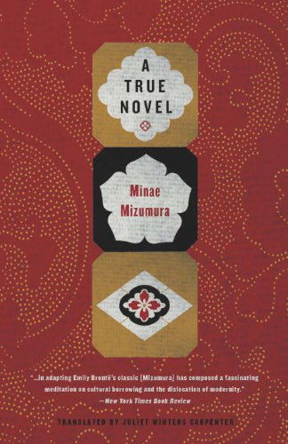 Cover for Minae Mizumura · A True Novel (Book) (2014)