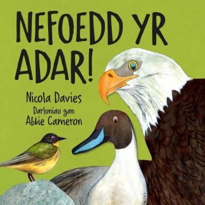 Nefoedd Yr Adar! - Rhyfeddol! - Nicola Davies - Livres - Graffeg Limited - 9781802582062 - 13 avril 2023