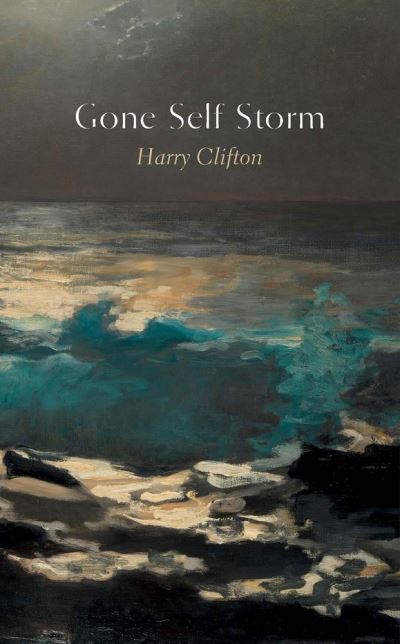 Cover for Harry Clifton · Gone Self Storm (Book) (2023)