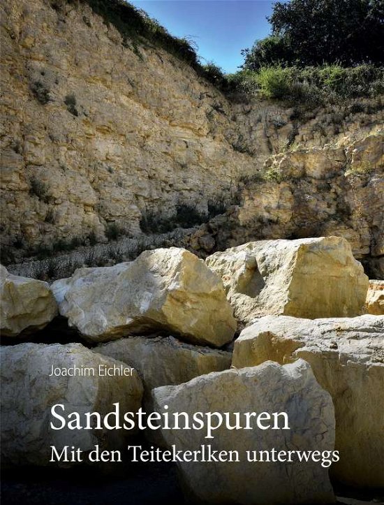 Cover for Eichler · Sandsteinspuren (Bog) (2020)