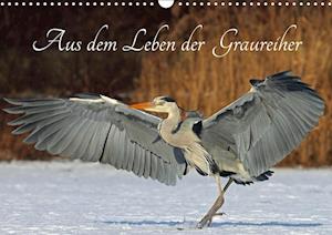 Cover for Konieczka · Aus dem Leben der Graureiher (Book)