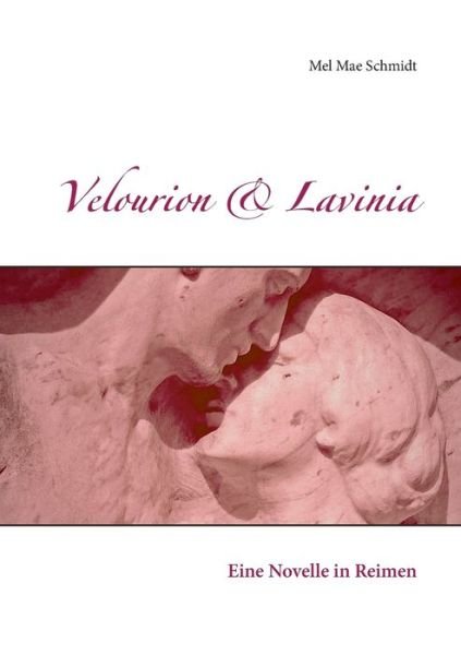 Cover for Schmidt · Velourion &amp; Lavinia (Buch) (2017)