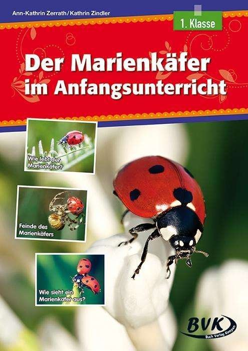 Cover for Zindler · Der Marienkäfer im Anfangsunter (Buch)