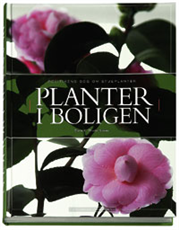 Cover for Dorte K. Rhode Nissen · Politikens bog om stueplanter (Bound Book) [1. Painos] (2005)