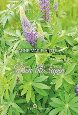 Anne-Marie Hüttel · Den blå lupin (Sewn Spine Book) [1st edition] (2022)