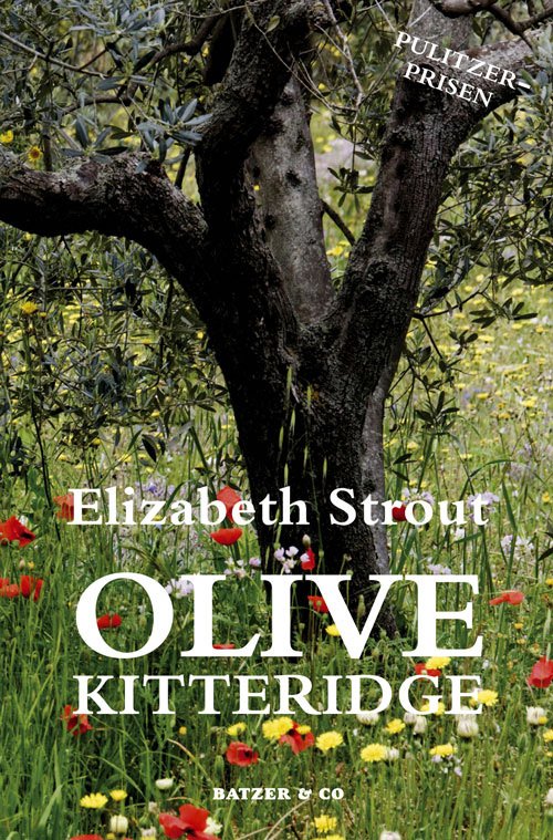 Olive Kitteridge - Elizabeth Strout - Books - BATZER & CO. Roskilde Bogcafé - 9788792439062 - November 13, 2010