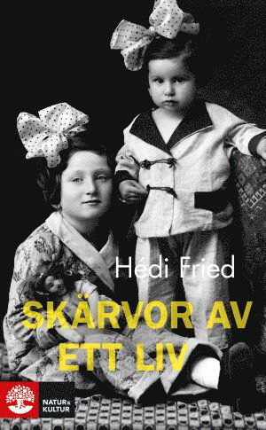 Skärvor av ett liv : vägen till och från Auschwitz - Hédi Fried - Livros - Natur & Kultur Allmänlitteratur - 9789127148062 - 16 de janeiro de 2016