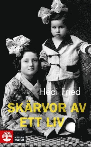 Cover for Hédi Fried · Skärvor av ett liv : vägen till och från Auschwitz (Paperback Bog) (2016)