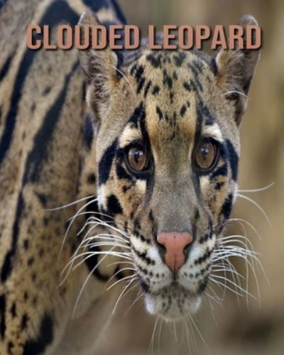 Cover for Dan Anthony · Clouded Leopard (Paperback Book) (2020)