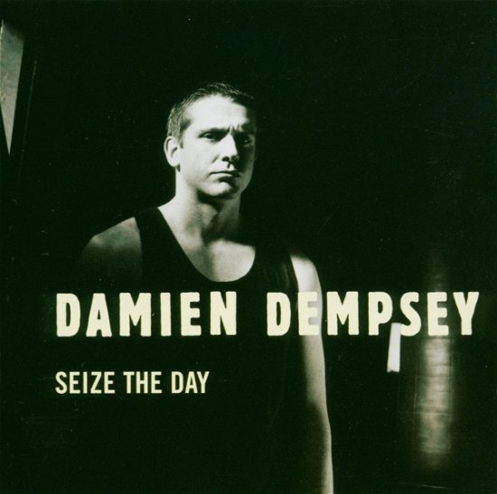 Cover for Damien Dempsey · Seize The Day (CD)