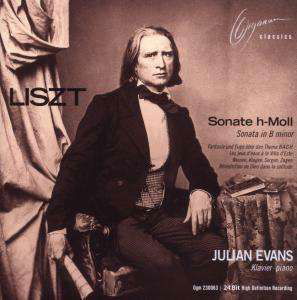 Liszt Piano Works - Julian Evans - Muzyka - ORGANUM - 4021568230063 - 4 kwietnia 2014