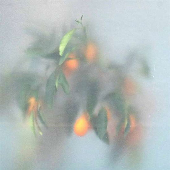 Secret Garden (Green Vinyl) - U-ziq & Mrs Jynx - Musik - PLANET MU - 5055869566063 - 19. November 2021