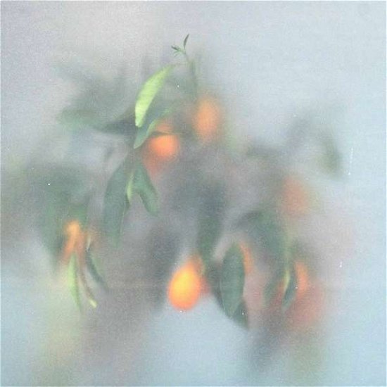 Cover for U-ziq &amp; Mrs Jynx · Secret Garden (Green Vinyl) (LP) [Limited edition] (2021)