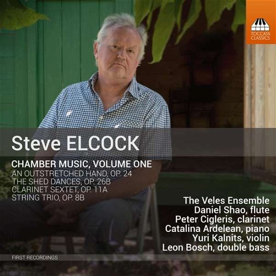 Cover for Veles Ensemble &amp; Friends · Elcock: Chamber Music. Vol. 1 (CD) (2018)