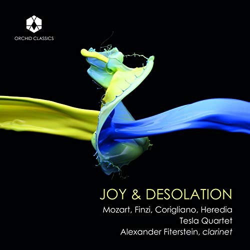 Cover for Tesla Quartet / Fiterstein · Joy &amp; Desolation (CD) (2019)