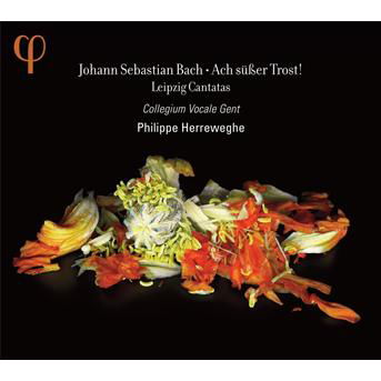 Ach Susser Trost - Johann Sebastian Bach - Muziek - OUTHERE - 5400439000063 - 29 september 2023