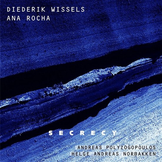 Cover for Diederik Wissels &amp; Andreas Polyzogopoulos · Diederik Wissels &amp; Andreas Polyzogopoulos - Before You Go (CD) (2021)