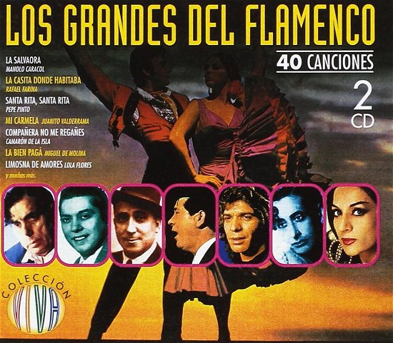 Cover for Various Artists · Los Grandes Del Flamenco (CD)