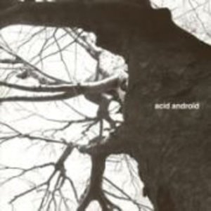 Cover for Acid Android (CD) (2005)
