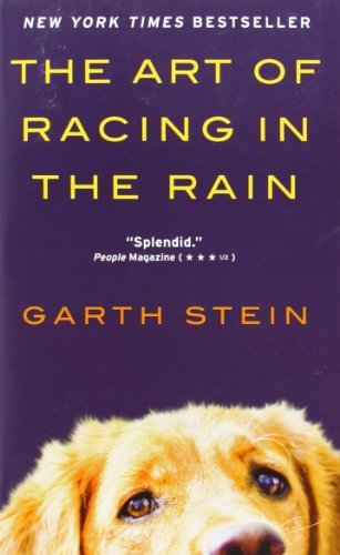 The Art of Racing in the Rain - Garth Stein - Bøker - HarperCollins - 9780062023063 - 31. august 2010