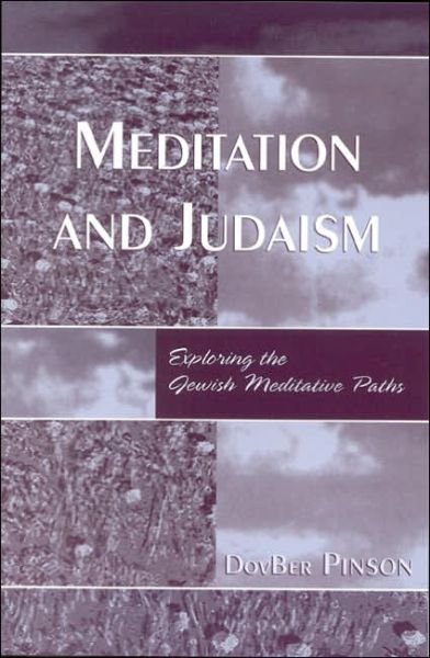 Cover for DovBer Pinson · Meditation and Judaism: Exploring the Jewish Meditative Paths (Gebundenes Buch) (2004)