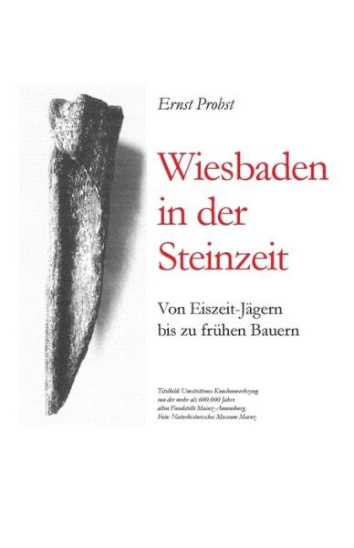 Cover for Ernst Probst · Wiesbaden in der Steinzeit (Paperback Book) (2019)