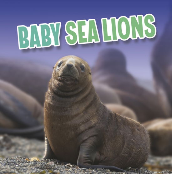 Baby Sea Lions - Baby Animals - Martha E. H. Rustad - Books - Capstone Global Library Ltd - 9781398224063 - February 16, 2023