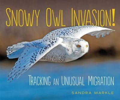 Cover for Sandra Markle · Snowy owl invasion! (Bok) (2018)