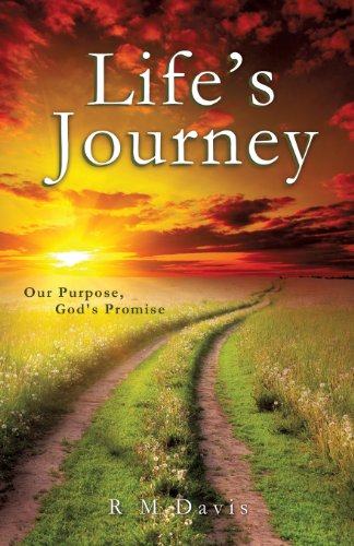 Cover for R M Davis · Life's Journey (Paperback Bog) (2013)