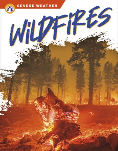 Cover for Candice Ransom · Severe Weather: Wildfires (Gebundenes Buch) (2022)